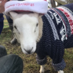 killerzx0816's avatar