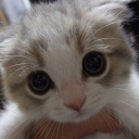 safely_sound's avatar