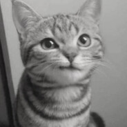 besondere___'s avatar