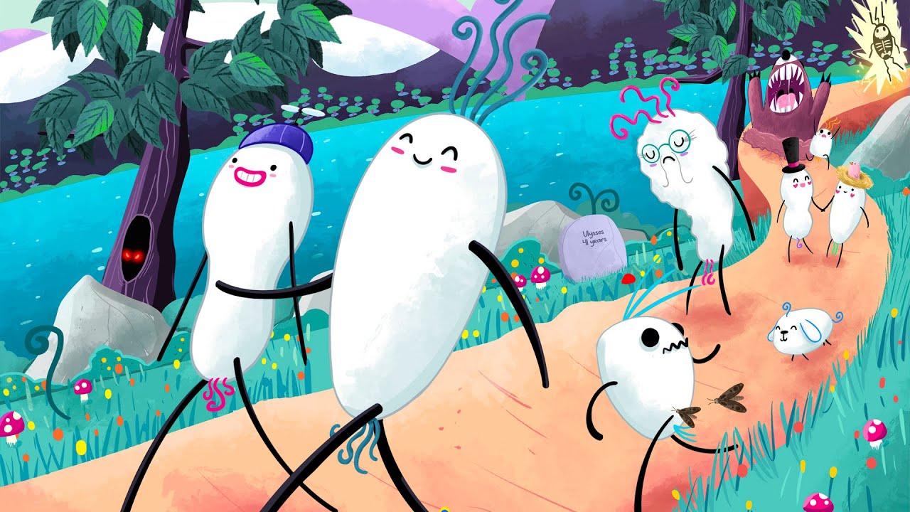 Video thumbnail Video thumbnail