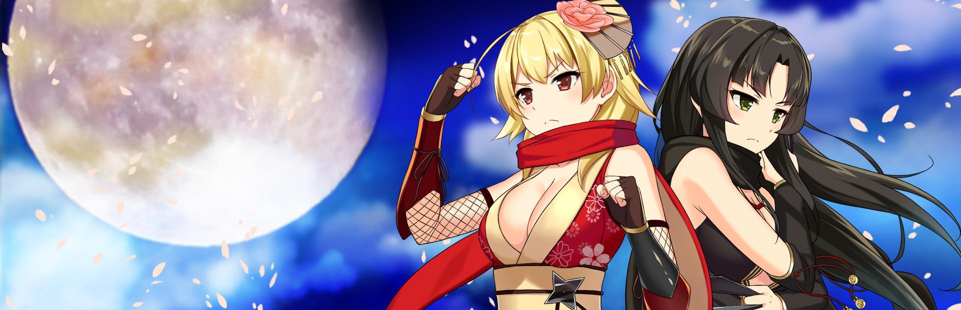 Play Moe! Ninja Girls for Free