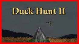 Duck Hunt 2 wallpaper
