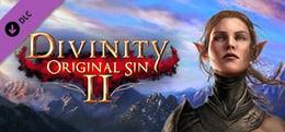 Divinity: Original Sin 2 - Divine Ascension wallpaper