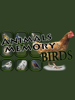 Animals Memory: Birds wallpaper