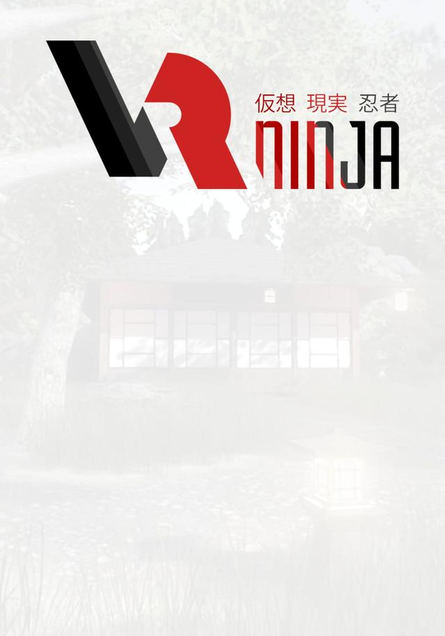 VRNinja cover