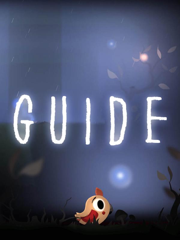 Guide cover