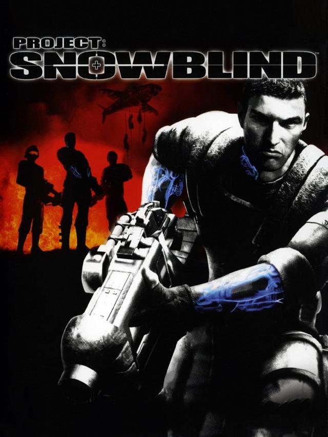 Project: Snowblind cover