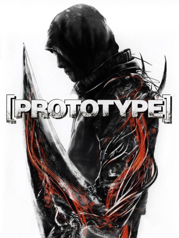 Prototype cover