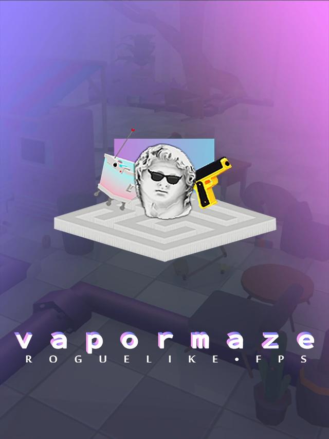 Vapormaze cover