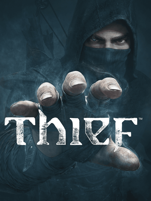 Thief cover