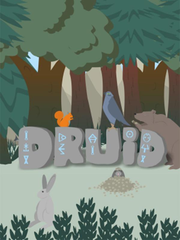 Druid cover