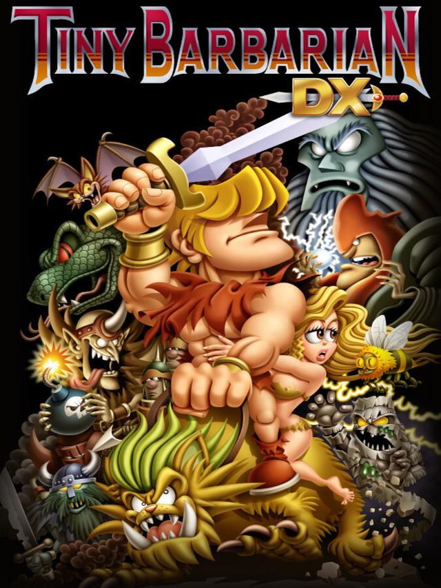 Tiny Barbarian DX cover