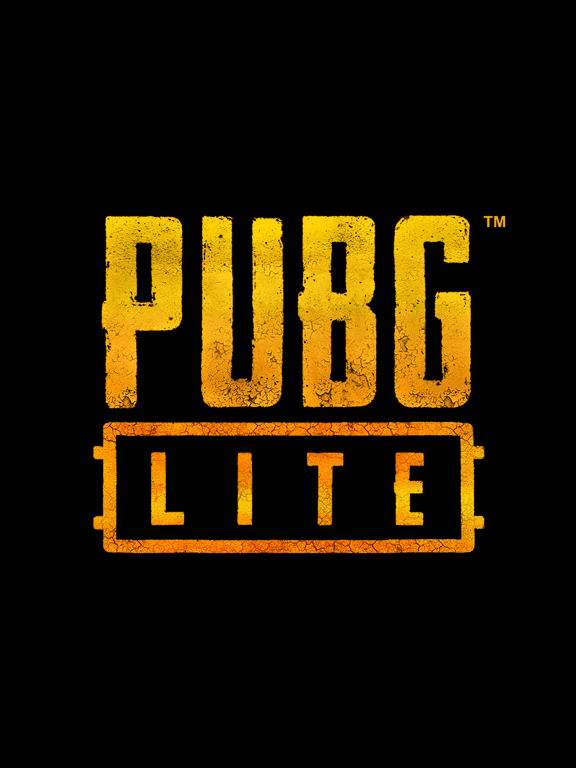 PUBG Lite cover