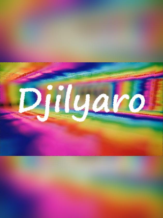 Djilyaro cover