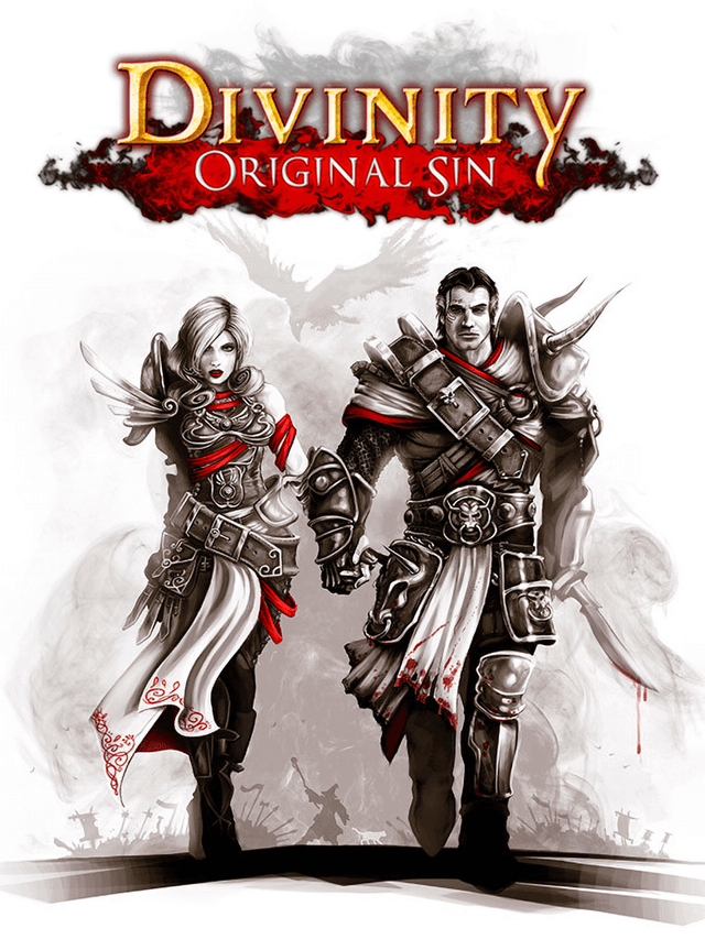 Divinity: Original Sin cover