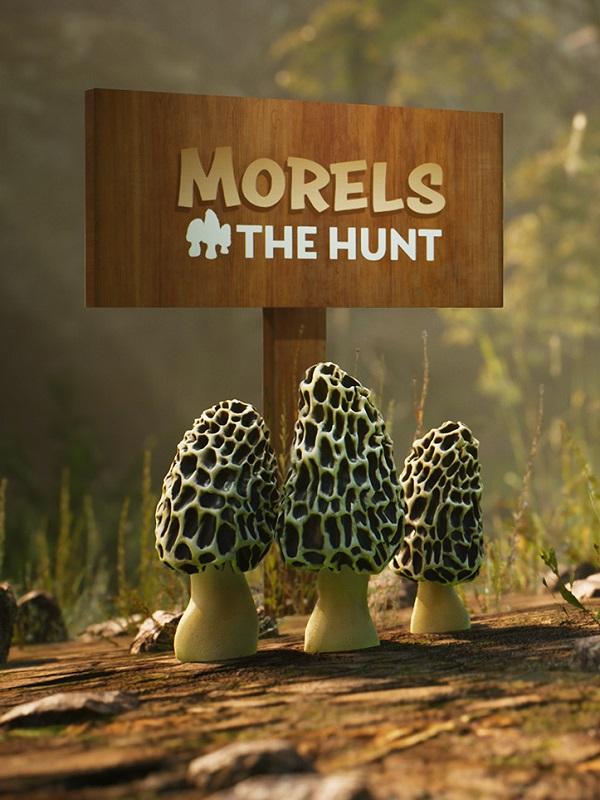 Morels: The Hunt cover