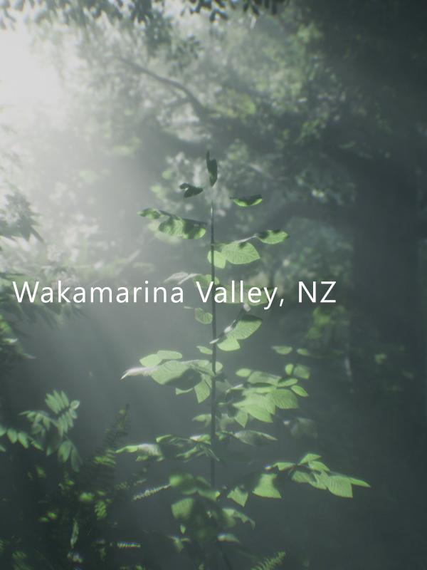 Wakamarina Valley, New Zealand cover