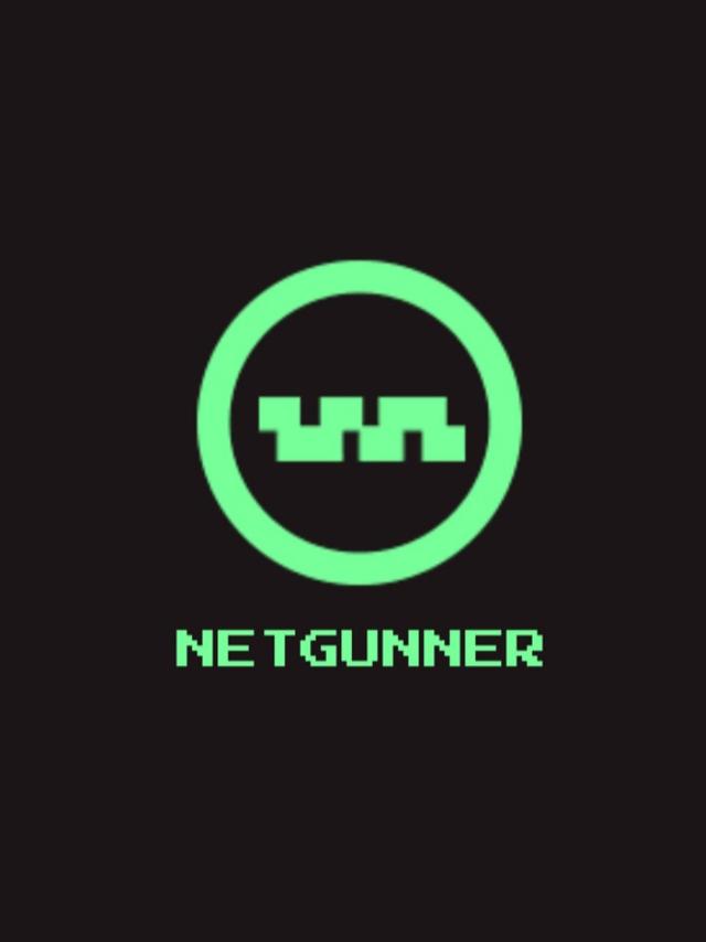 NetGunner cover