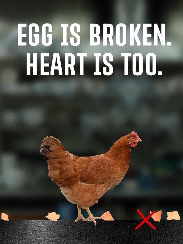 Egg Is Broken. Heart Is Too. wallpaper