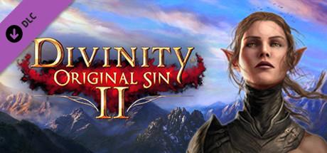 Divinity: Original Sin 2 - Divine Ascension cover