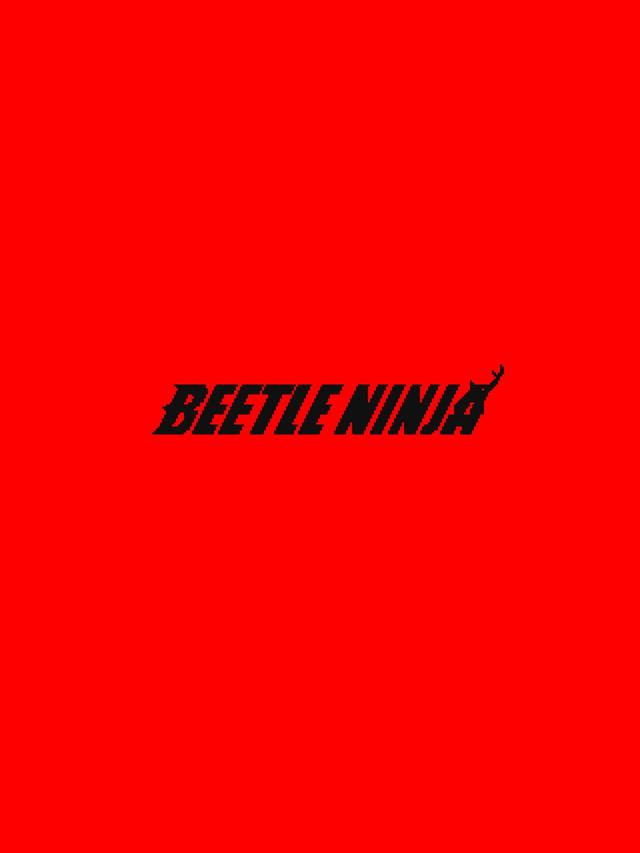 Beetle Ninja cover