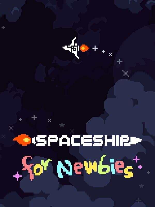 Spaceship For Newbies cover