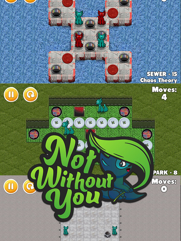 Not Without You cover