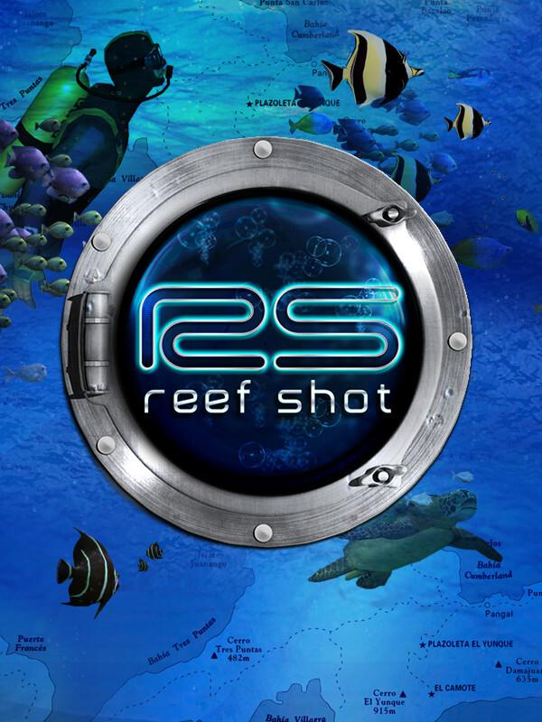 Reef Shot wallpaper