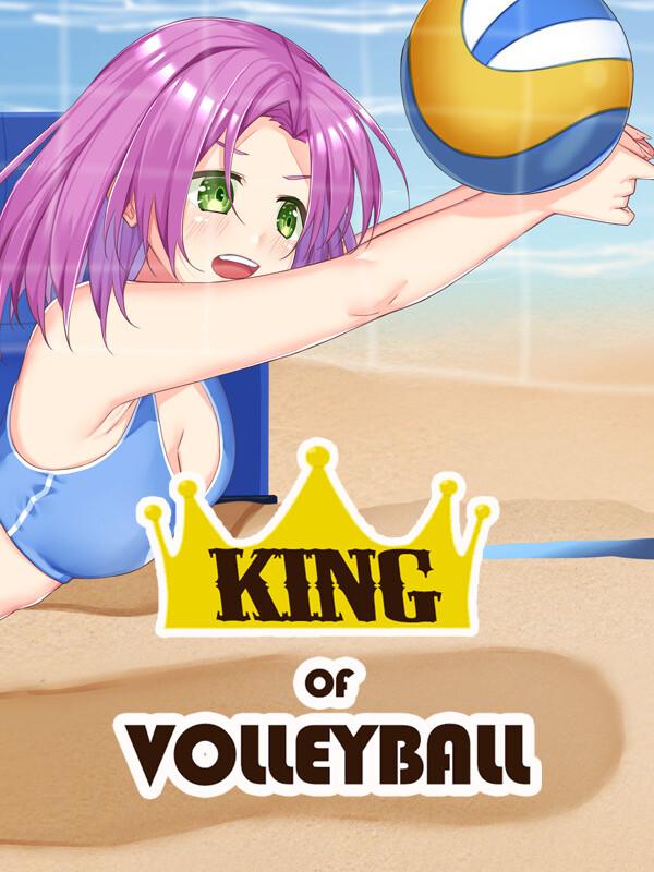 King of Volleyball cover