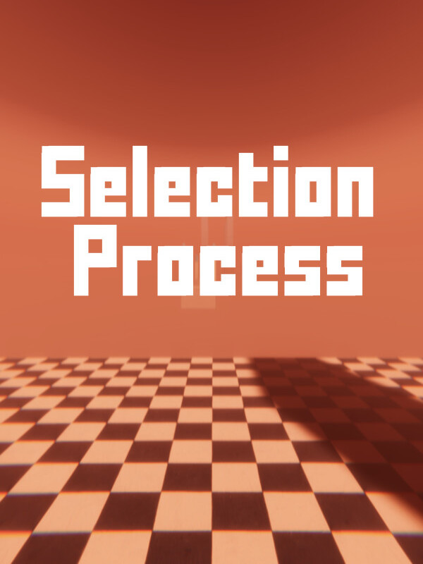 Selection Process cover
