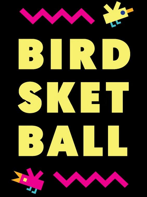 Birdsketball cover