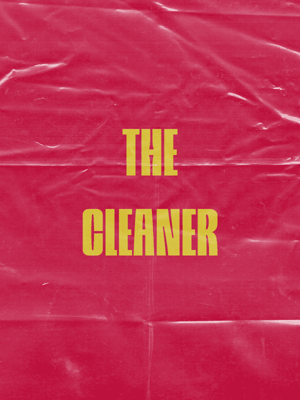 The Cleaner cover