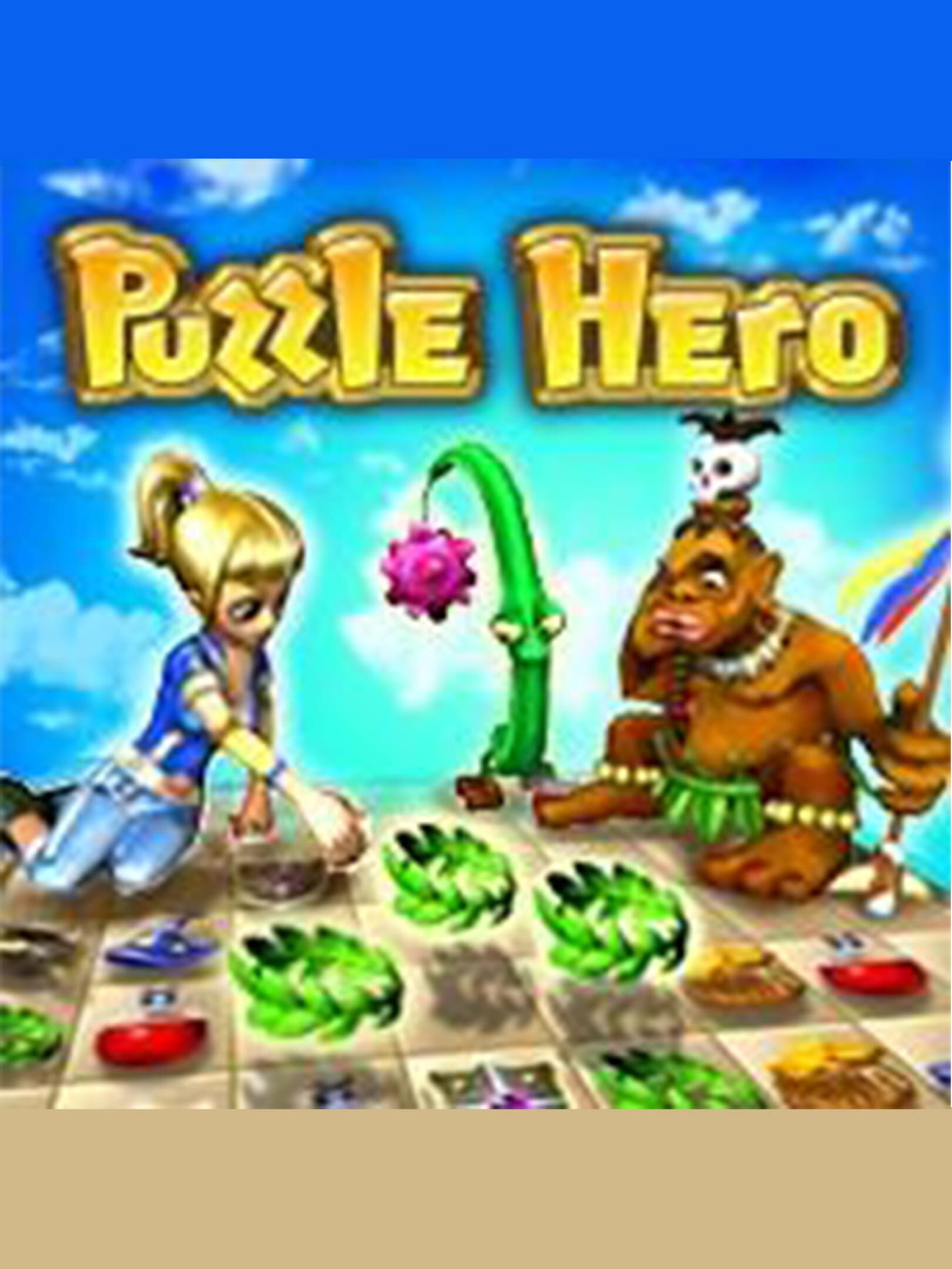 Puzzle Hero cover