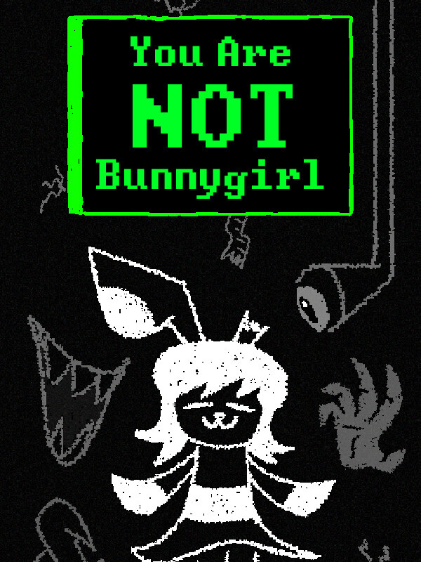 You Are Not Bunnygirl cover