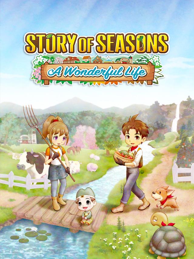 Story of Seasons: A Wonderful Life cover