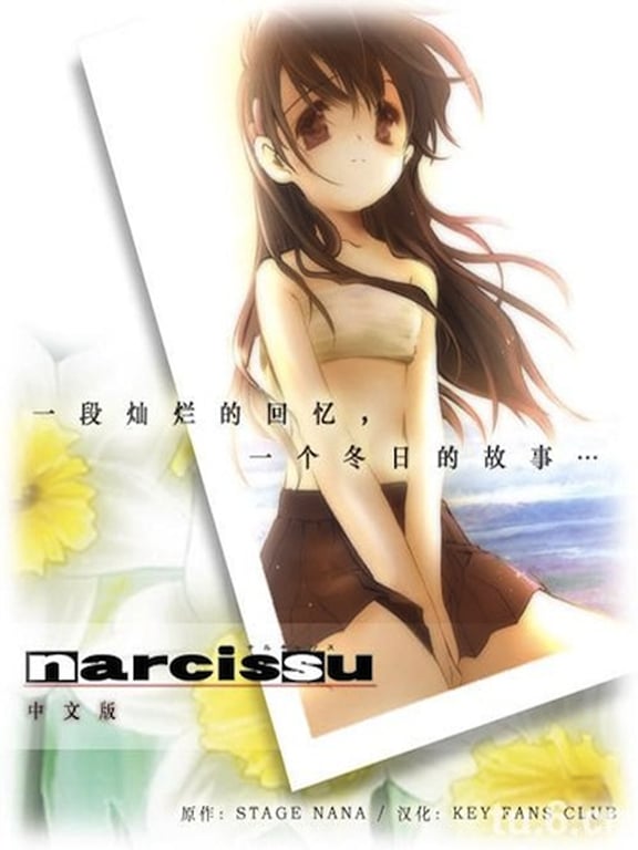 Narcissu cover