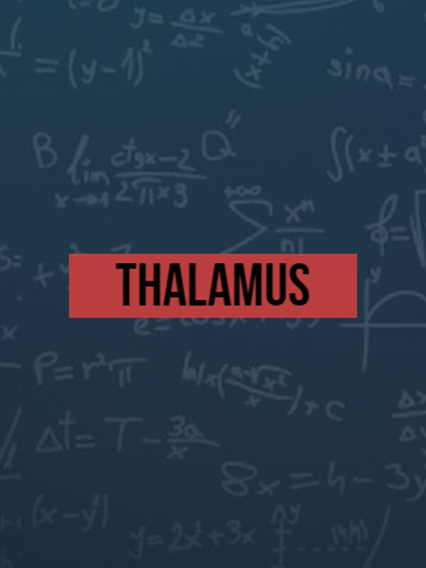 Thalamus cover
