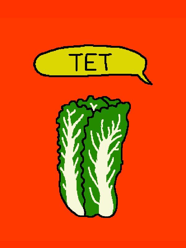 Tet cover