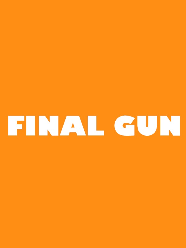 Final Gun cover