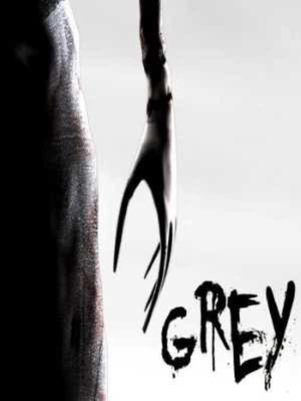 Grey cover
