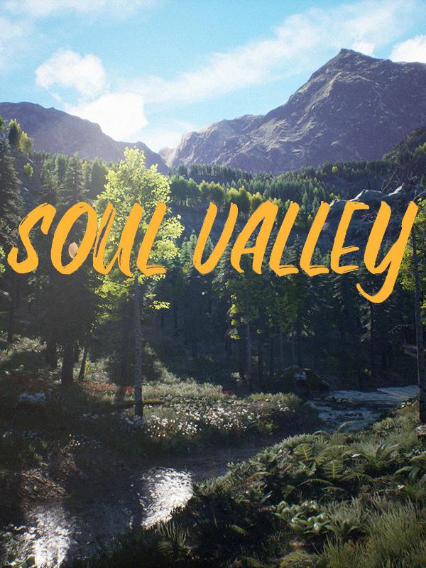 Soul Valley cover