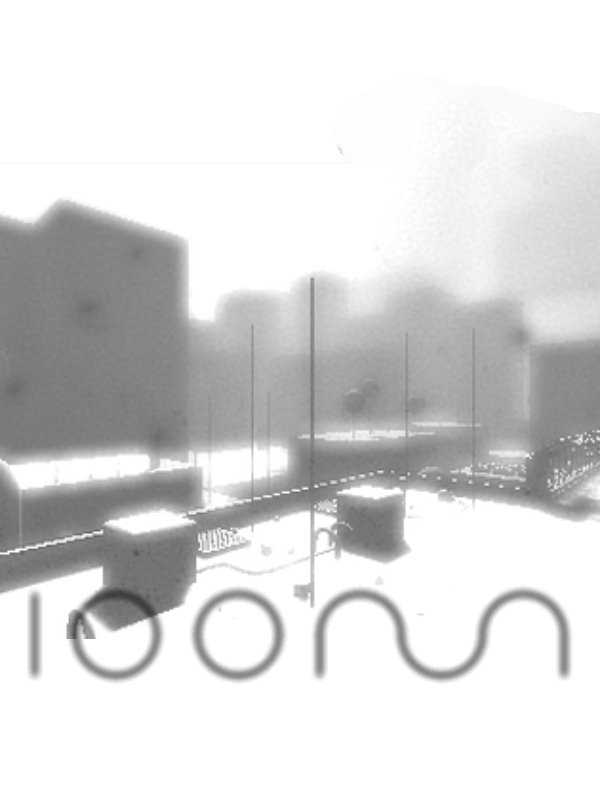 Loom cover
