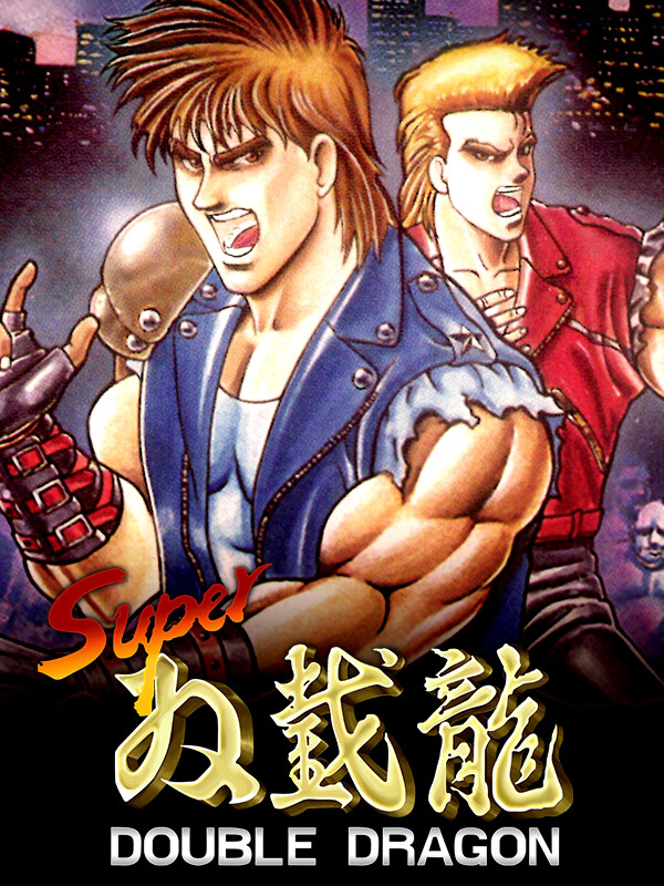Super Double Dragon cover