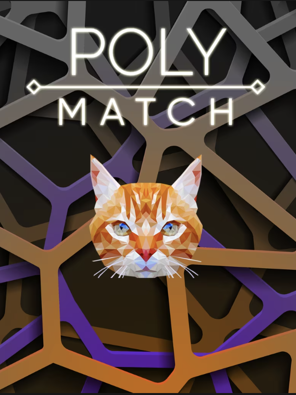 Poly Match cover