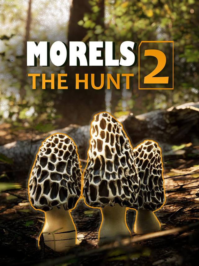 Morels: The Hunt 2 cover