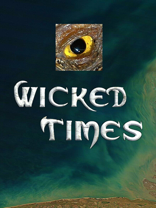 Wicked Times cover