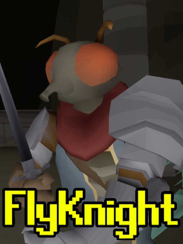 FlyKnight cover