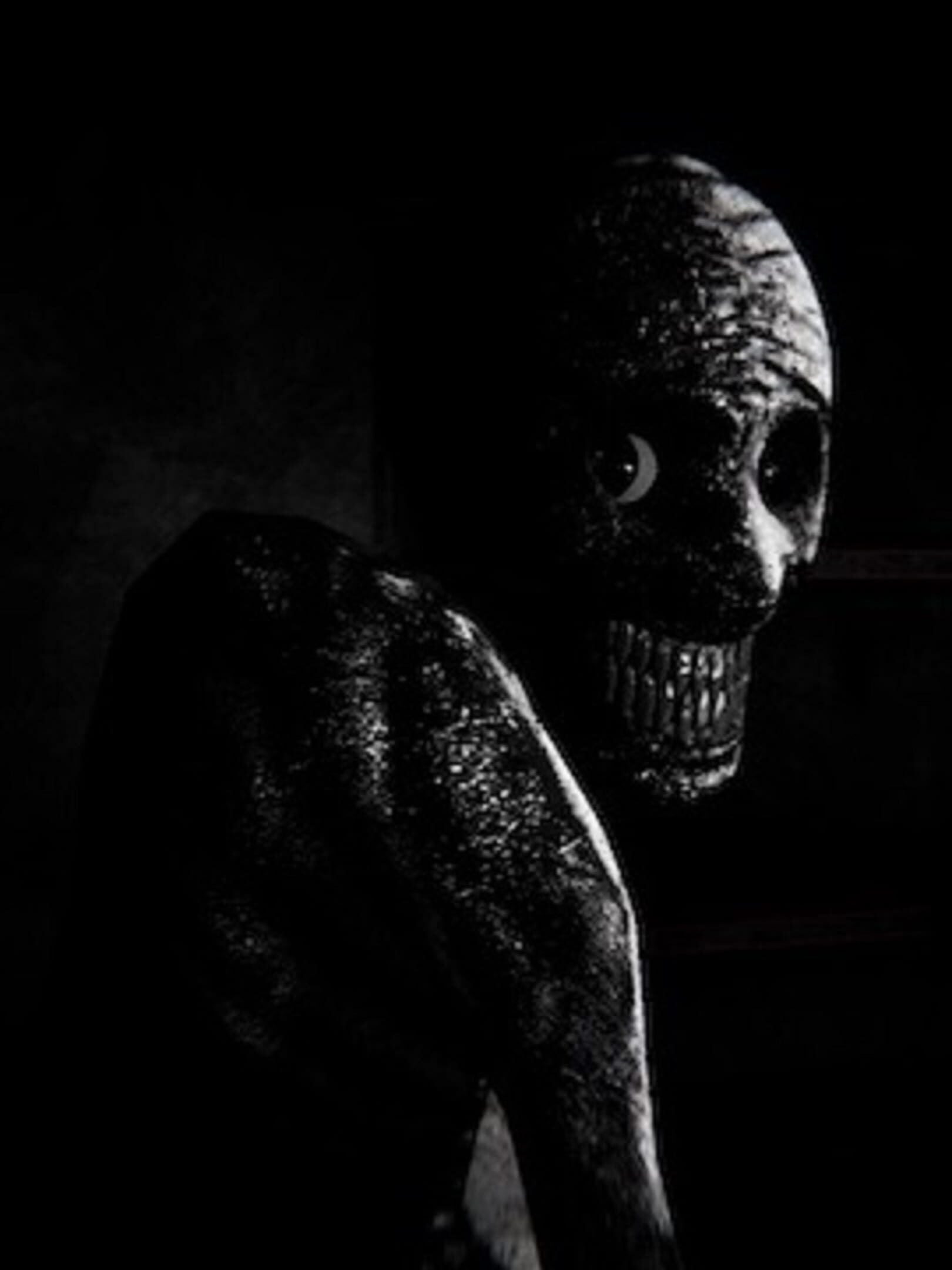 Insomnis Experiment cover