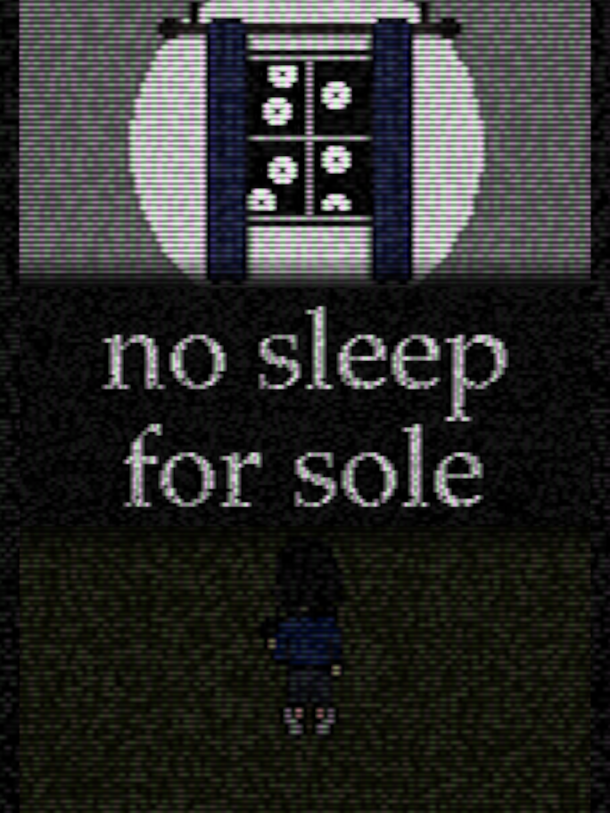 No Sleep for Sole cover
