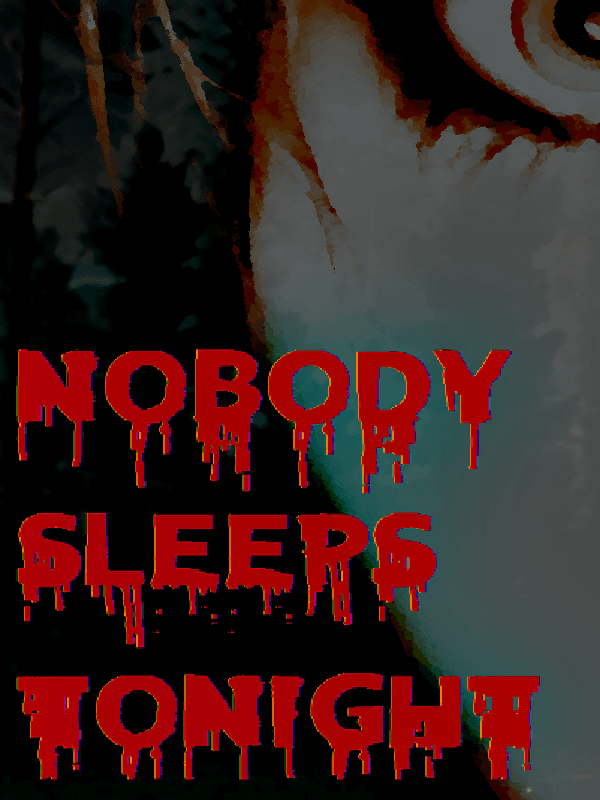 Nobody Sleeps Tonight cover